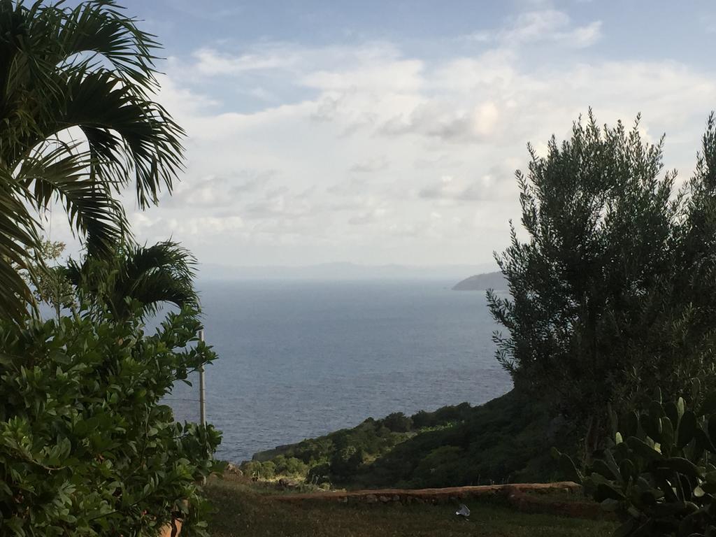 El Monte Azul Bed & Breakfast Las Galeras Bagian luar foto